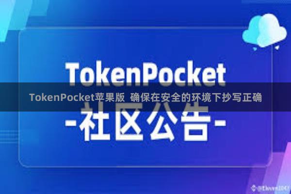 TokenPocket苹果版 确保在安全的环境下抄写正确