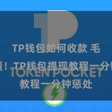 TP钱包如何收款 毛糙易懂!TP钱包提现教程一分钟惩处