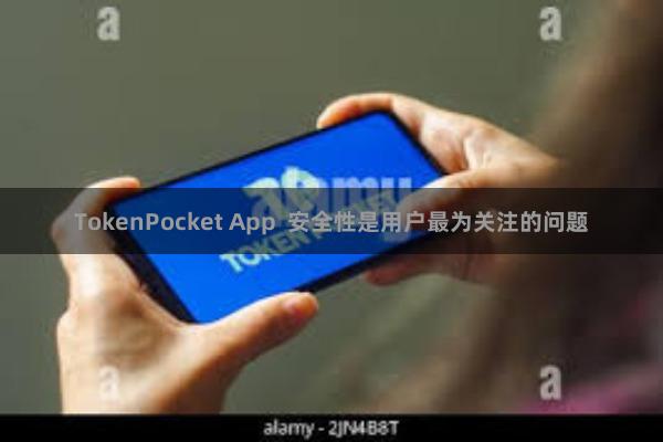 TokenPocket App 安全性是用户最为关注的问题