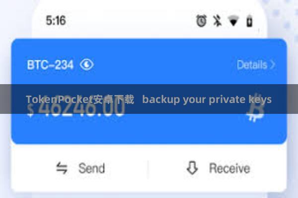 TokenPocket安卓下载 backup your private keys